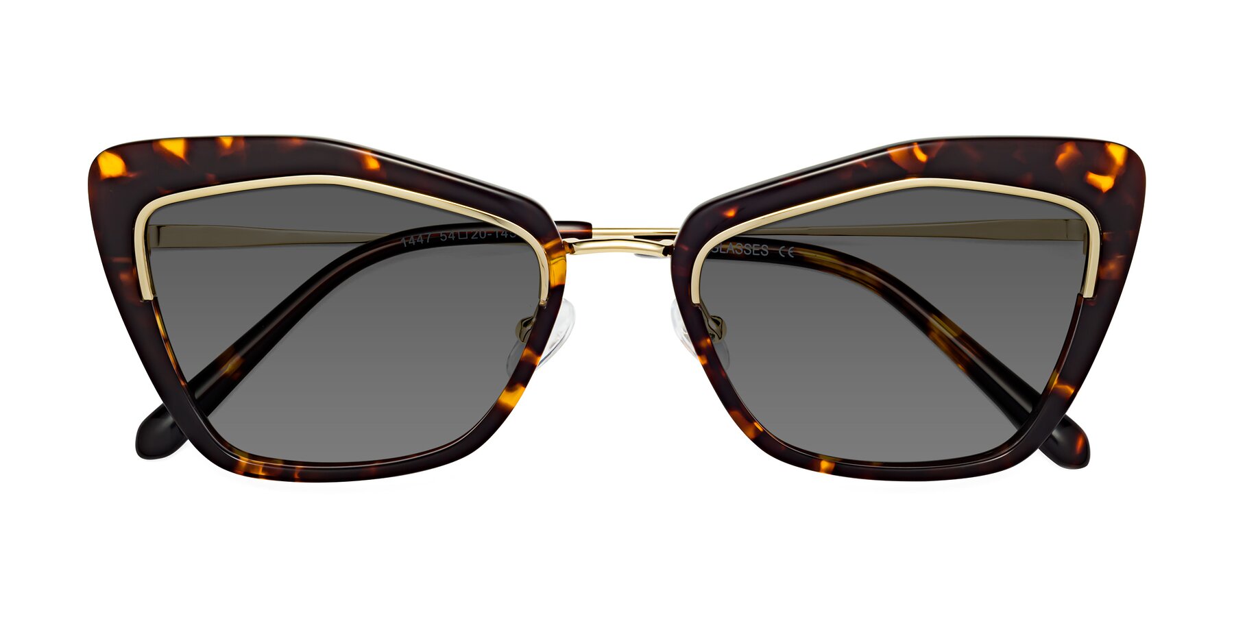 Folded Front of Lasso in Deep Tortoise with Medium Gray Tinted Lenses
