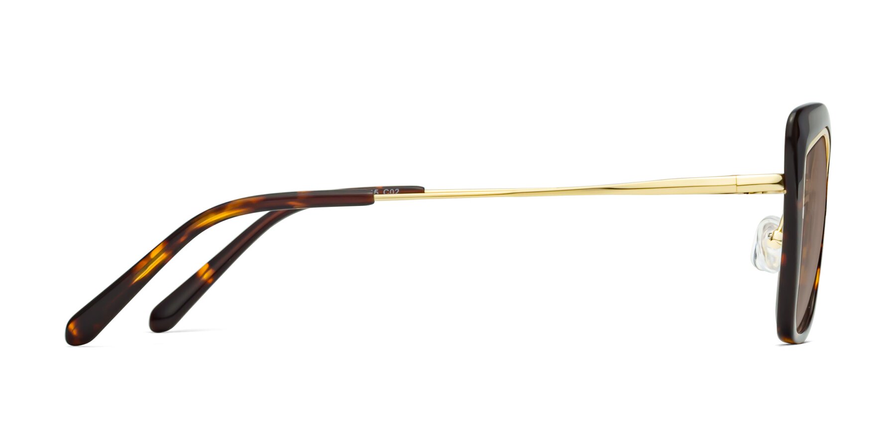 Side of Lasso in Deep Tortoise with Medium Brown Tinted Lenses