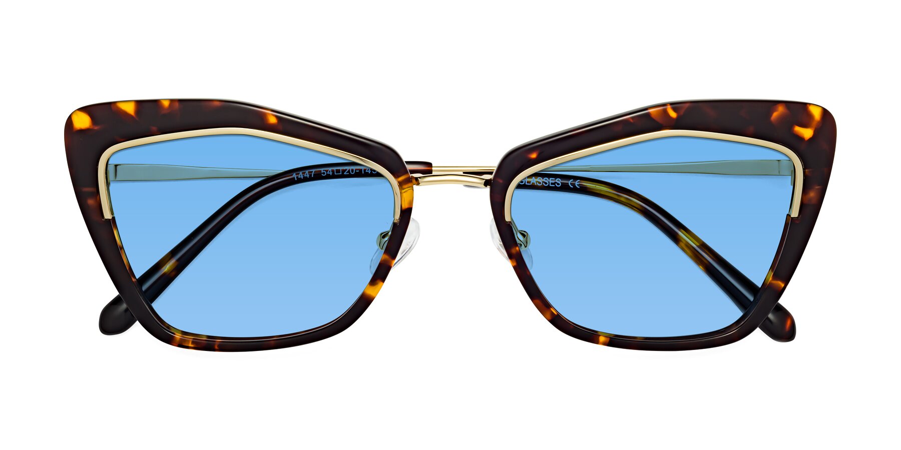 Folded Front of Lasso in Deep Tortoise with Medium Blue Tinted Lenses