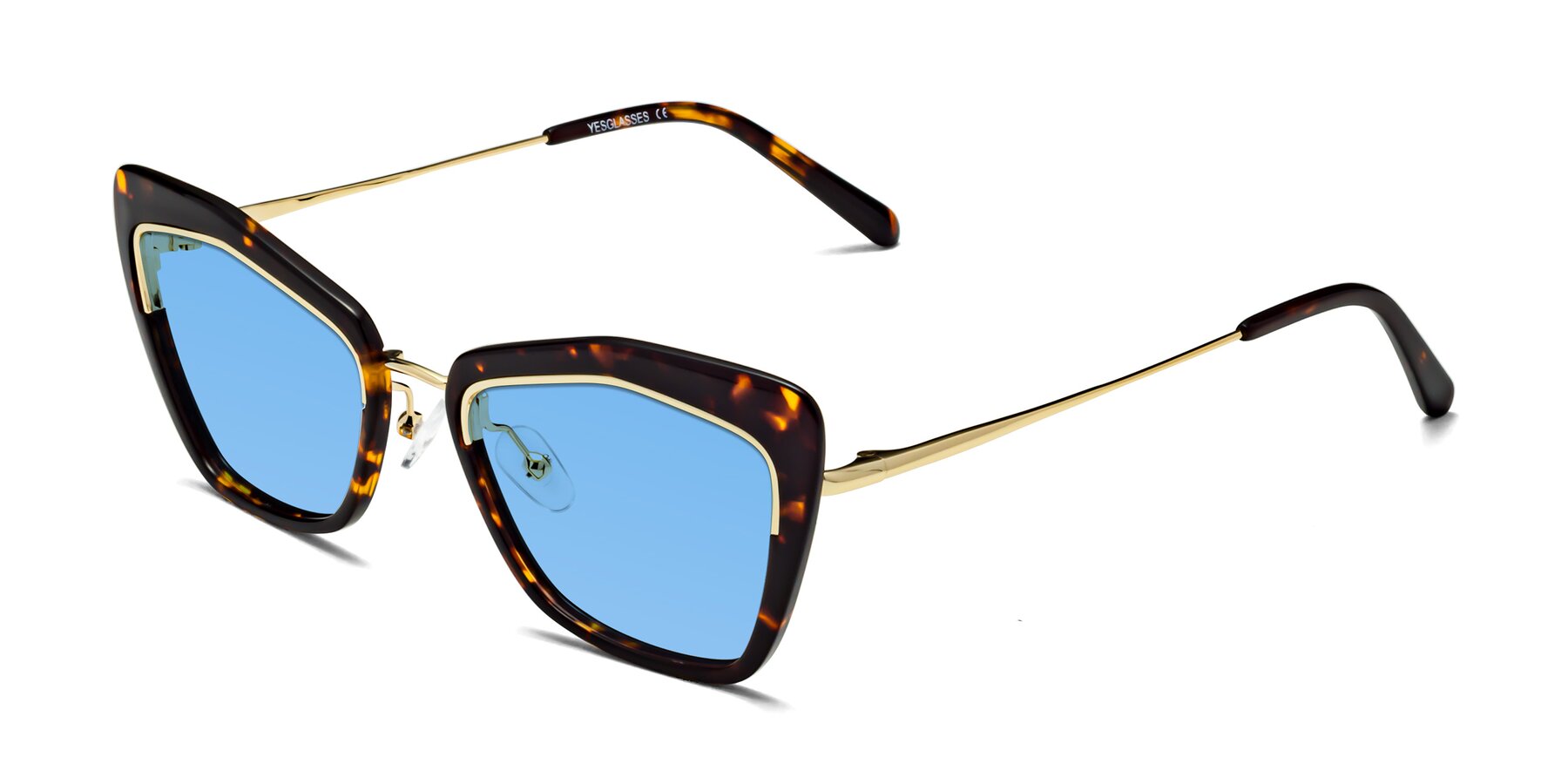 Angle of Lasso in Deep Tortoise with Medium Blue Tinted Lenses