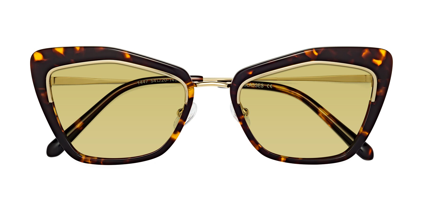 Folded Front of Lasso in Deep Tortoise with Medium Champagne Tinted Lenses