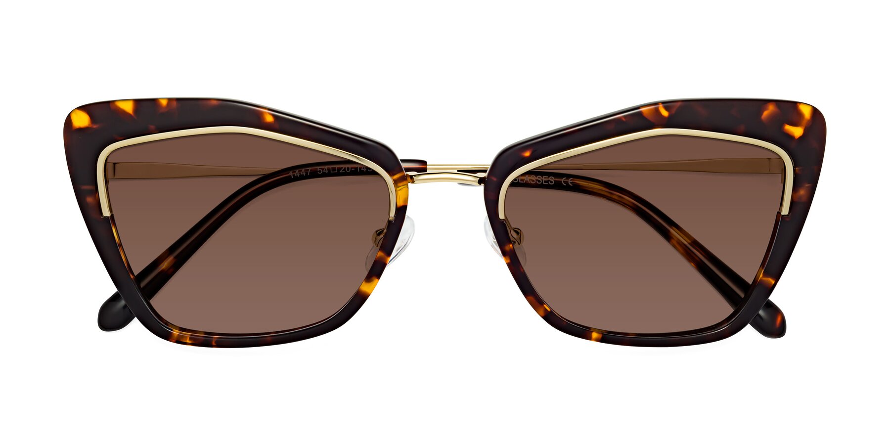 Folded Front of Lasso in Deep Tortoise with Brown Tinted Lenses