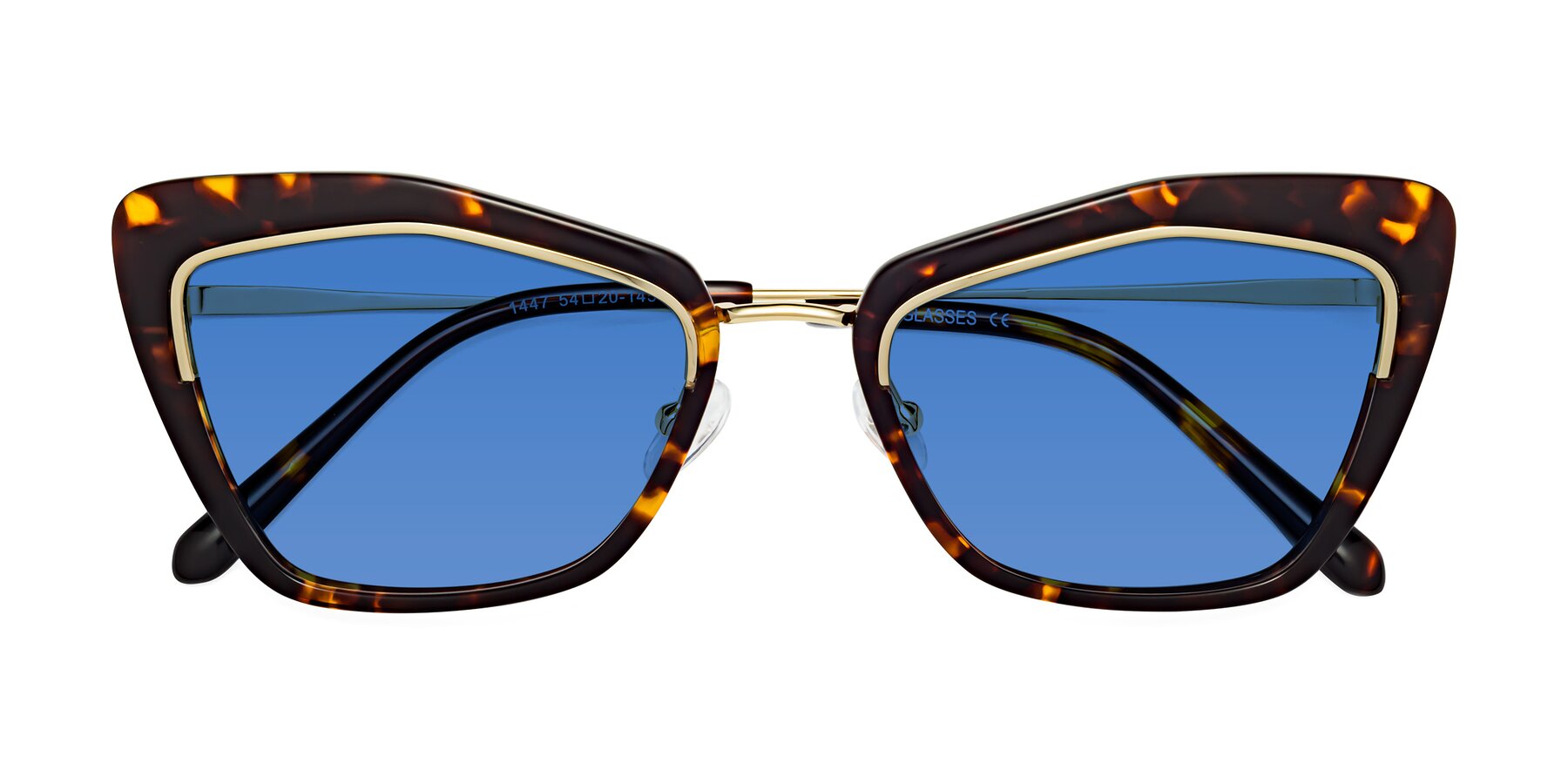 Folded Front of Lasso in Deep Tortoise with Blue Tinted Lenses