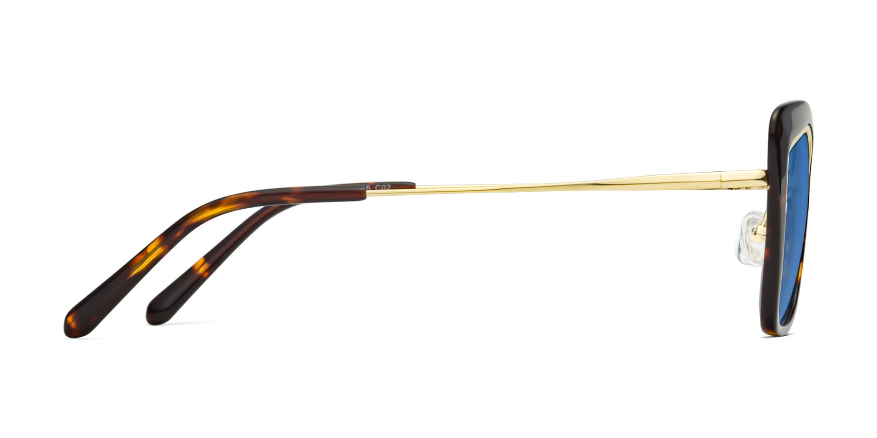 Side of Lasso in Deep Tortoise with Blue Tinted Lenses
