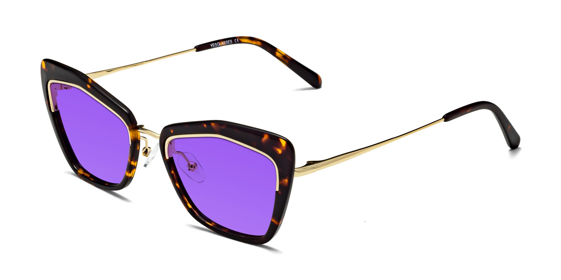 Angle of Lasso in Deep Tortoise with Purple Tinted Lenses
