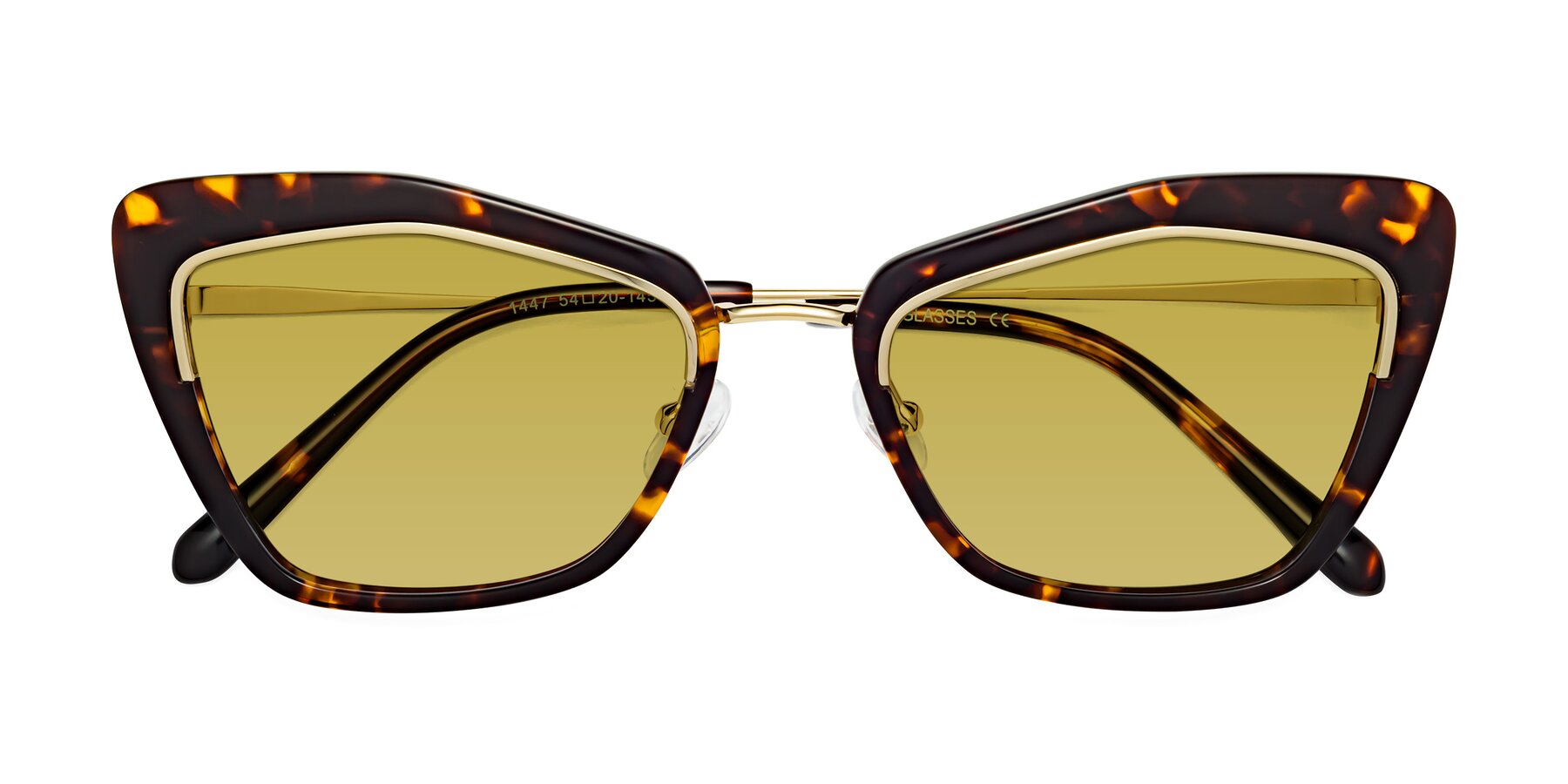 Folded Front of Lasso in Deep Tortoise with Champagne Tinted Lenses