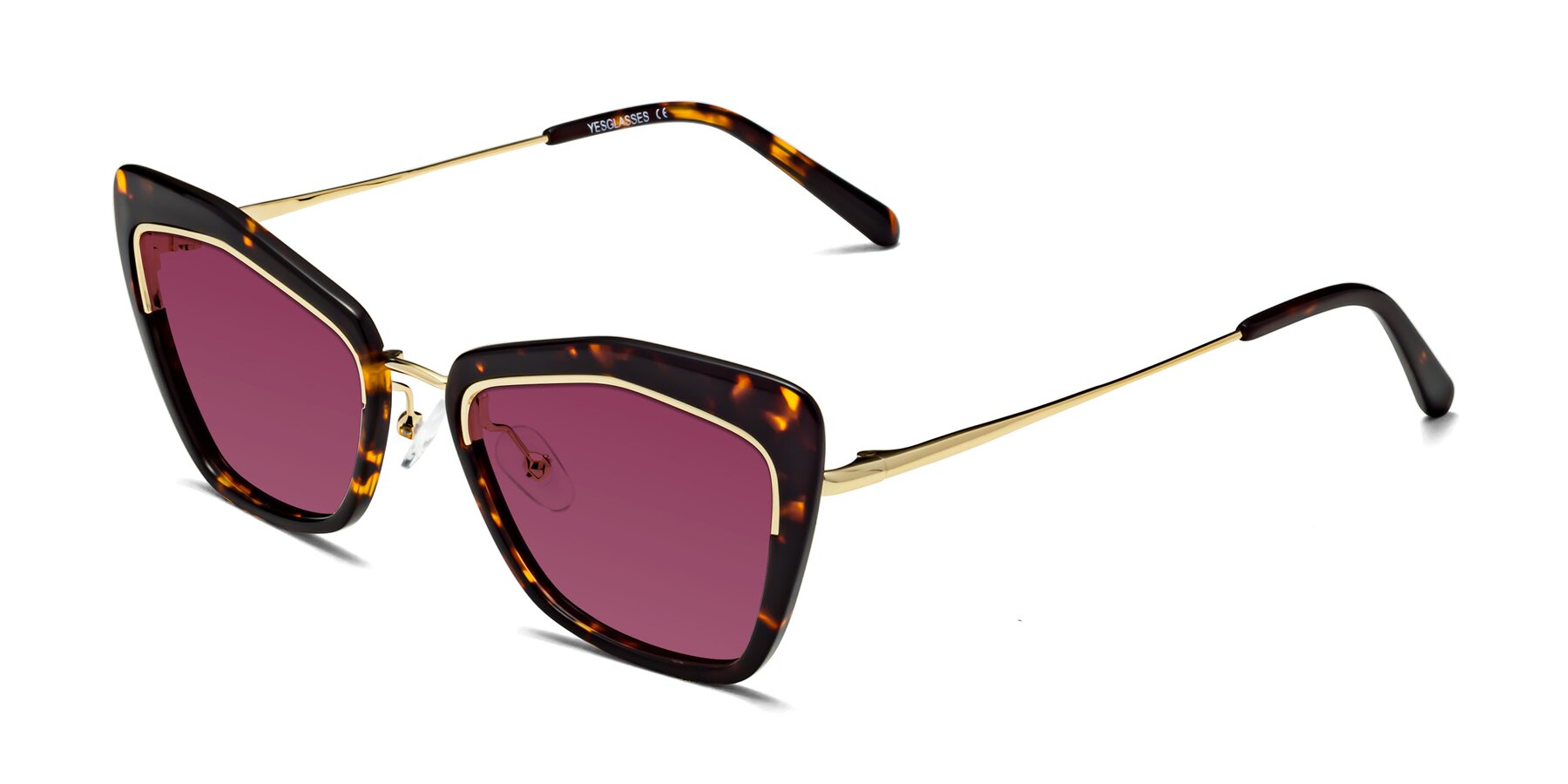 Angle of Lasso in Deep Tortoise with Wine Tinted Lenses