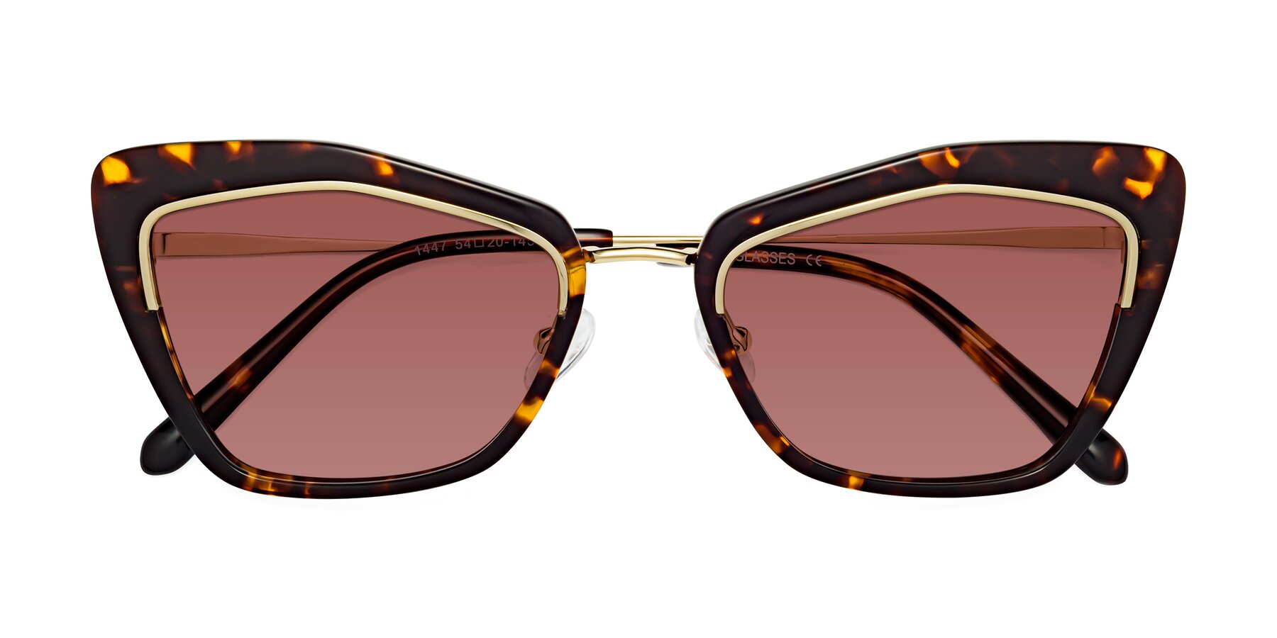 Folded Front of Lasso in Deep Tortoise with Garnet Tinted Lenses