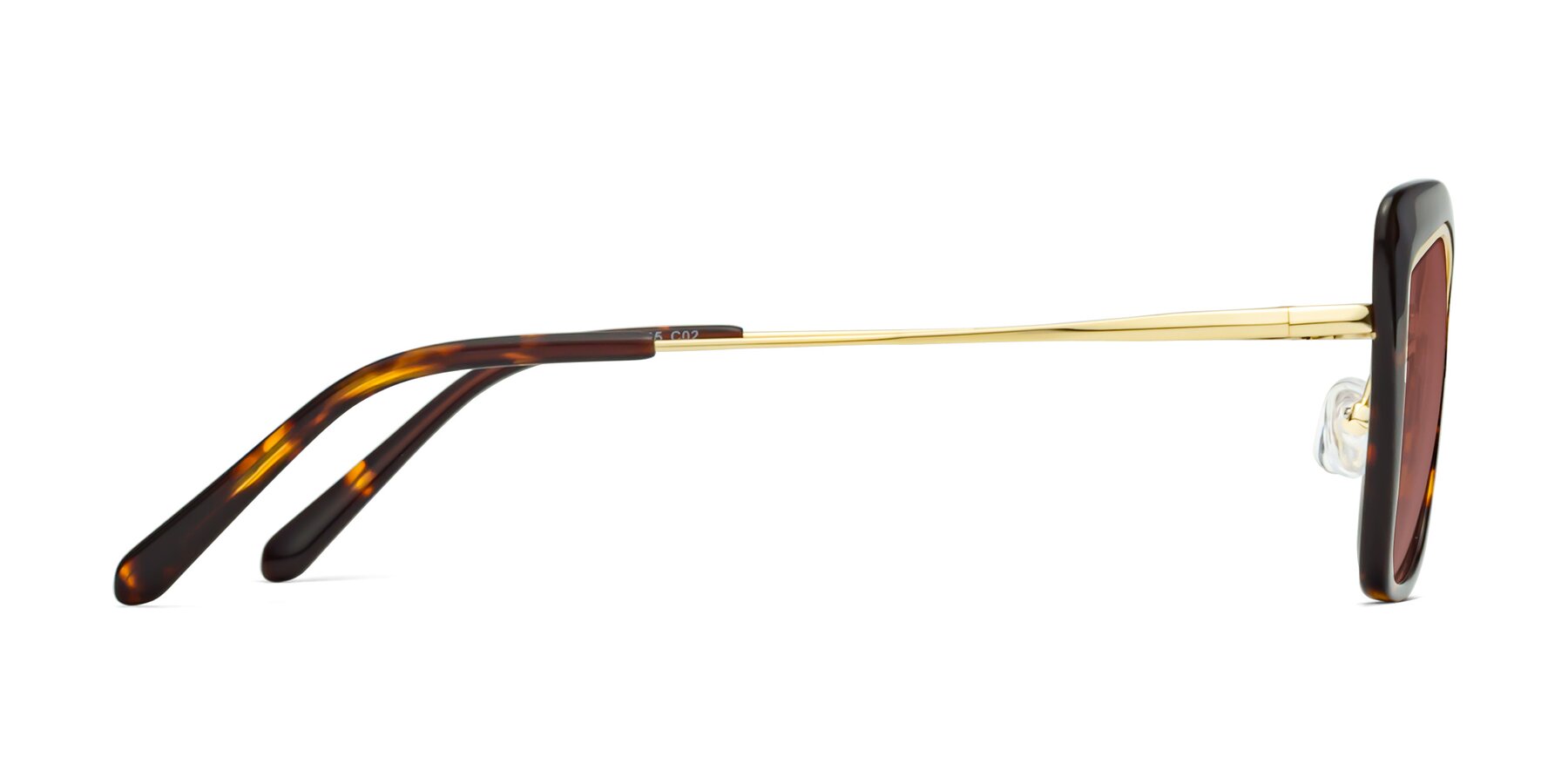 Side of Lasso in Deep Tortoise with Garnet Tinted Lenses