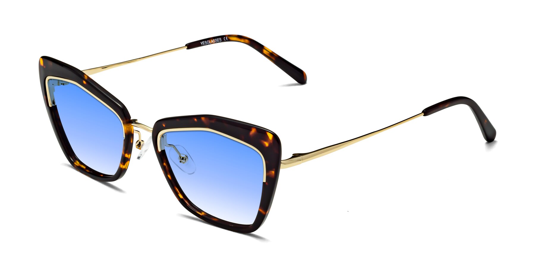 Angle of Lasso in Deep Tortoise with Blue Gradient Lenses