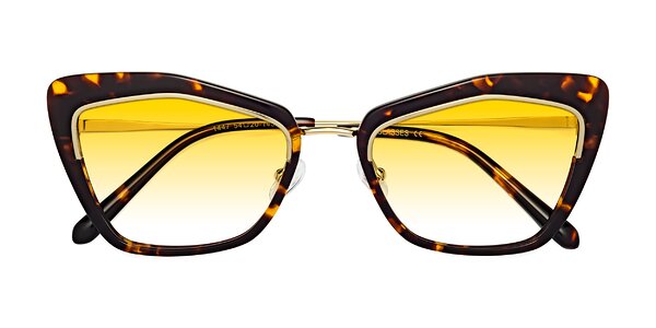 Front of Lasso in Deep Tortoise