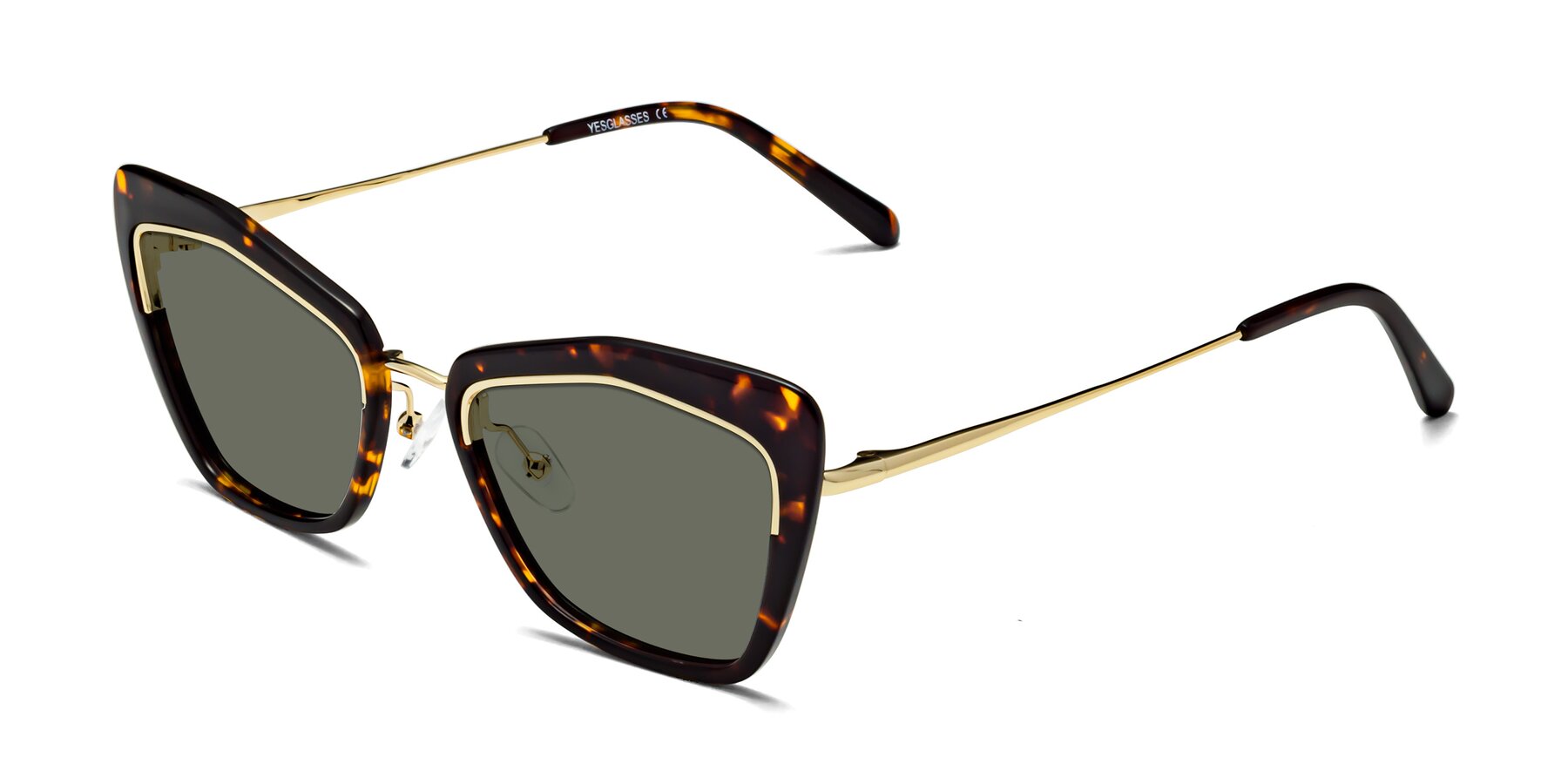 Angle of Lasso in Deep Tortoise with Gray Polarized Lenses
