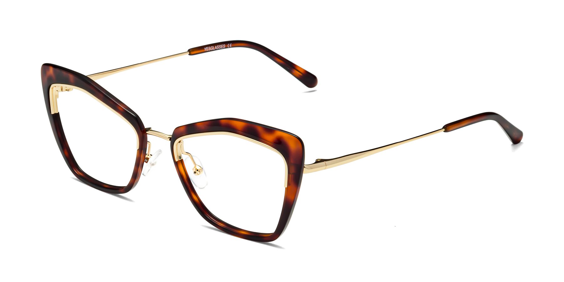 Angle of Lasso in Light Tortoise with Clear Eyeglass Lenses