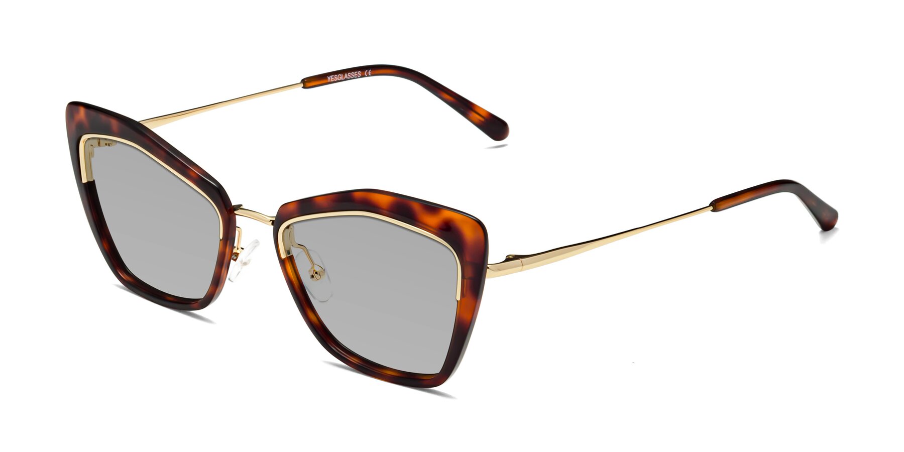 Angle of Lasso in Light Tortoise with Light Gray Tinted Lenses