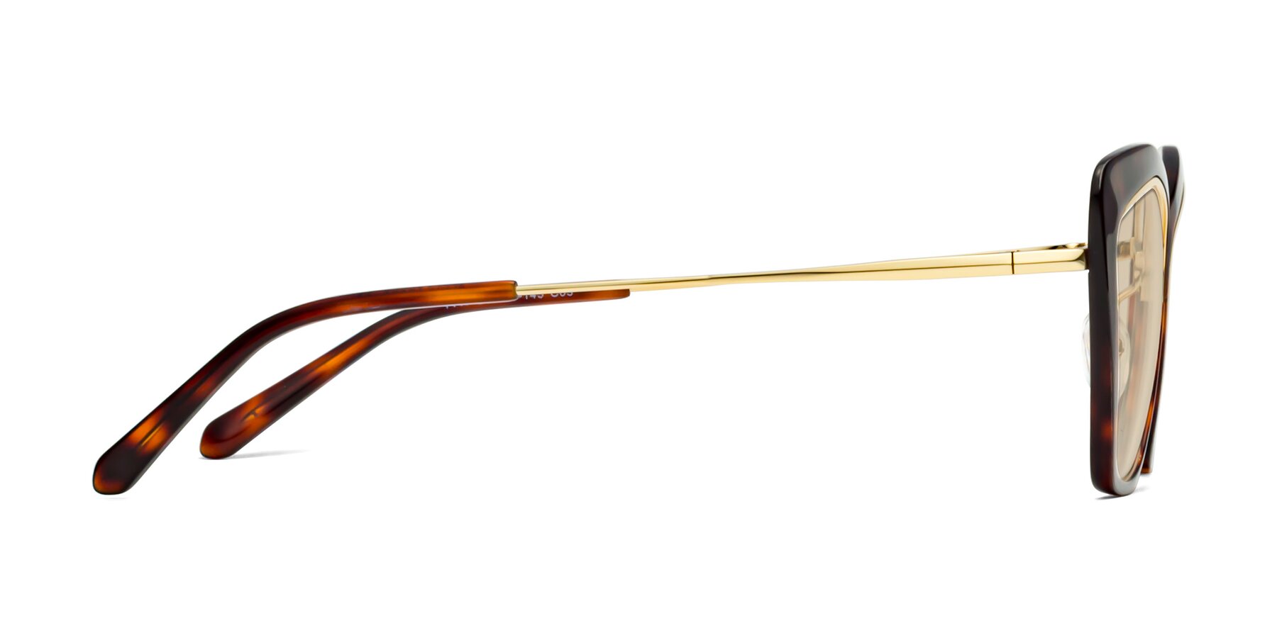 Side of Lasso in Light Tortoise with Light Brown Tinted Lenses