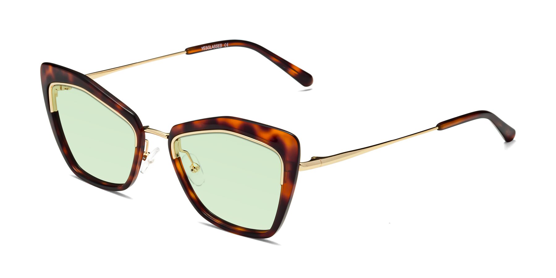 Angle of Lasso in Light Tortoise with Light Green Tinted Lenses