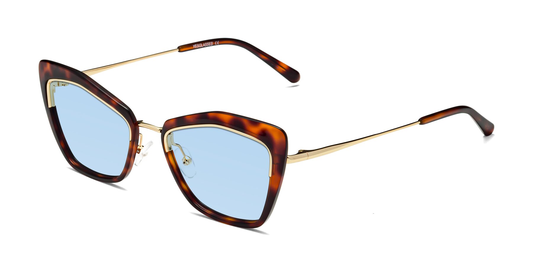 Angle of Lasso in Light Tortoise with Light Blue Tinted Lenses