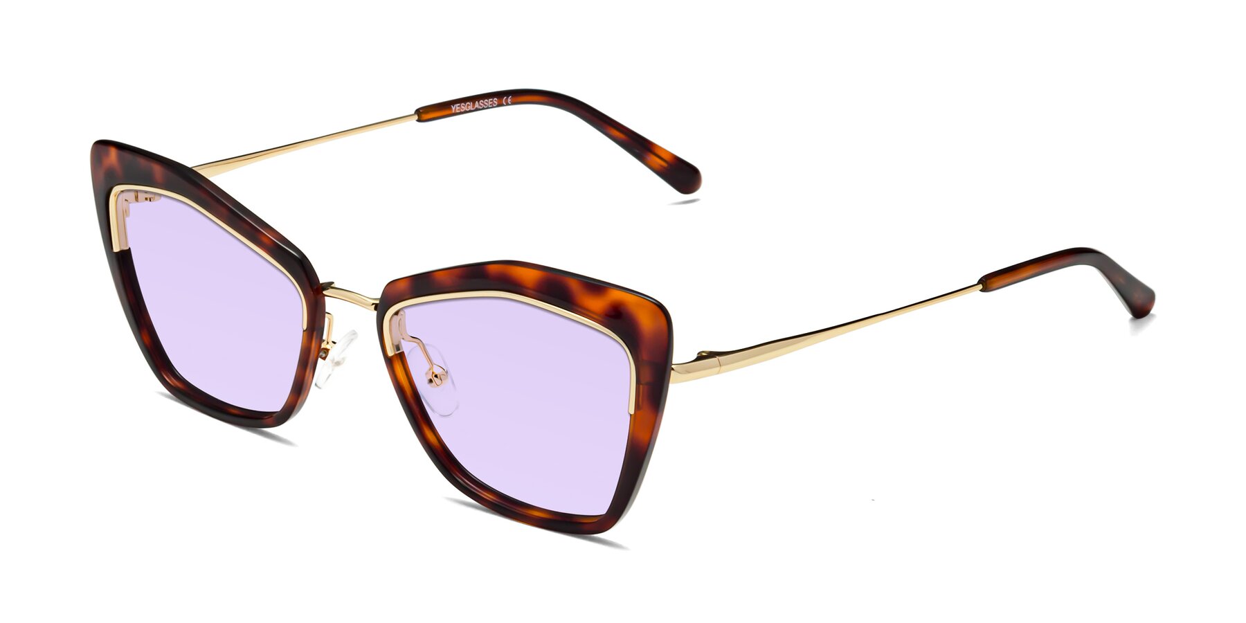 Angle of Lasso in Light Tortoise with Light Purple Tinted Lenses