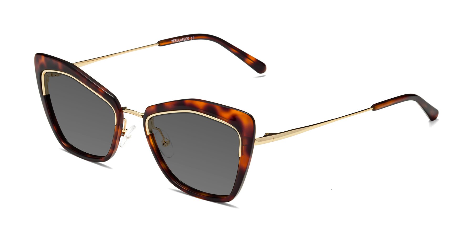 Angle of Lasso in Light Tortoise with Medium Gray Tinted Lenses