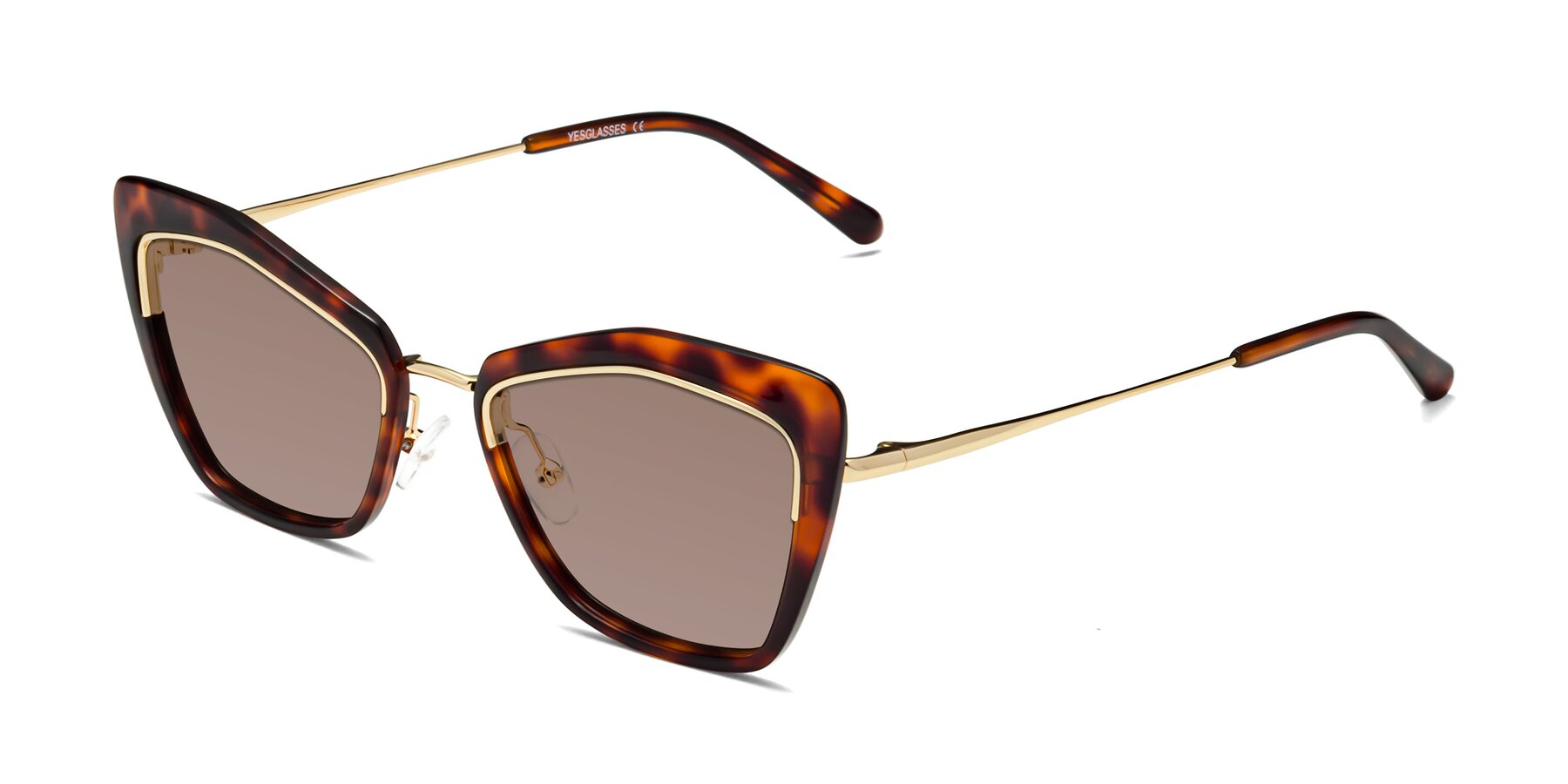 Angle of Lasso in Light Tortoise with Medium Brown Tinted Lenses