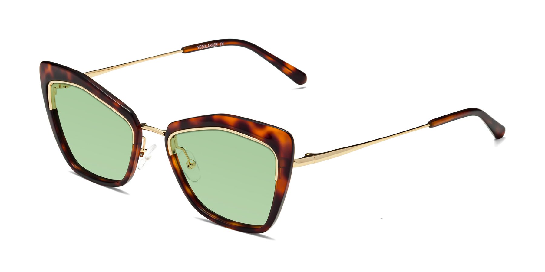 Angle of Lasso in Light Tortoise with Medium Green Tinted Lenses