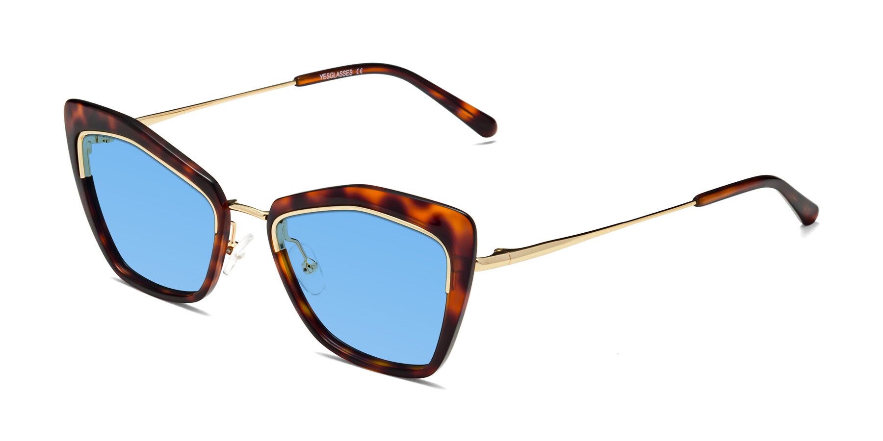 Angle of Lasso in Light Tortoise with Medium Blue Tinted Lenses