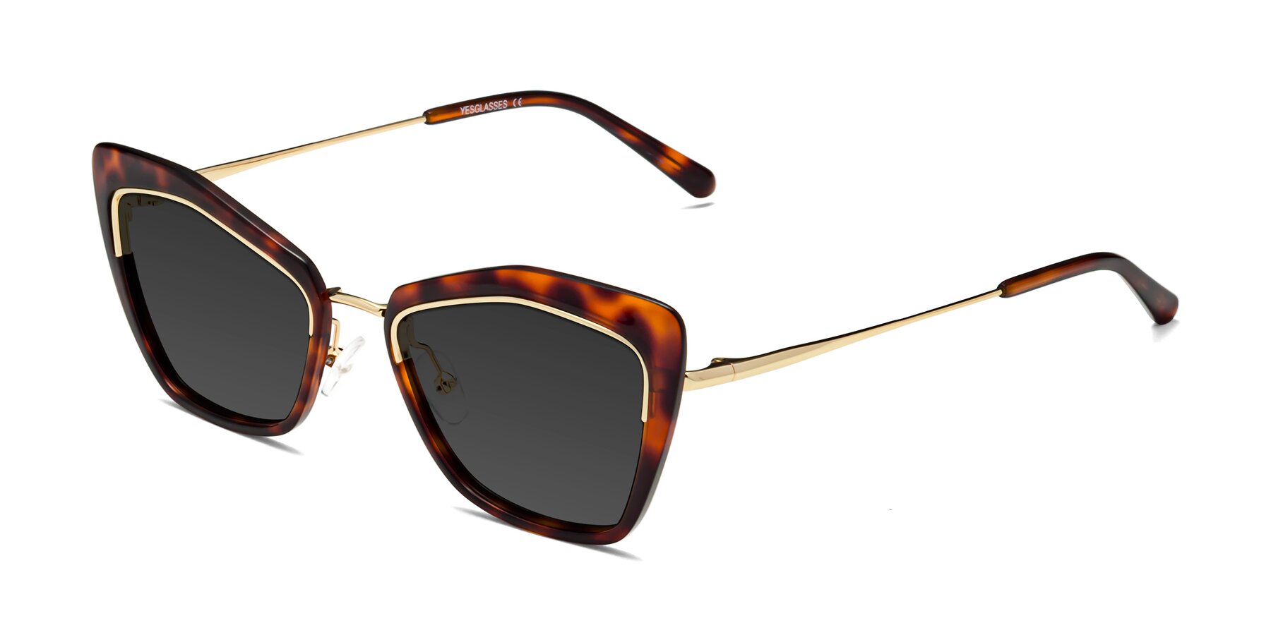 Angle of Lasso in Light Tortoise with Gray Tinted Lenses