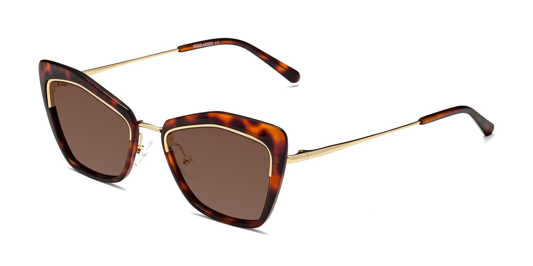 Angle of Lasso in Light Tortoise with Brown Tinted Lenses