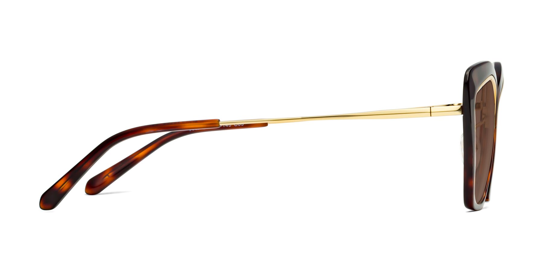 Side of Lasso in Light Tortoise with Brown Tinted Lenses