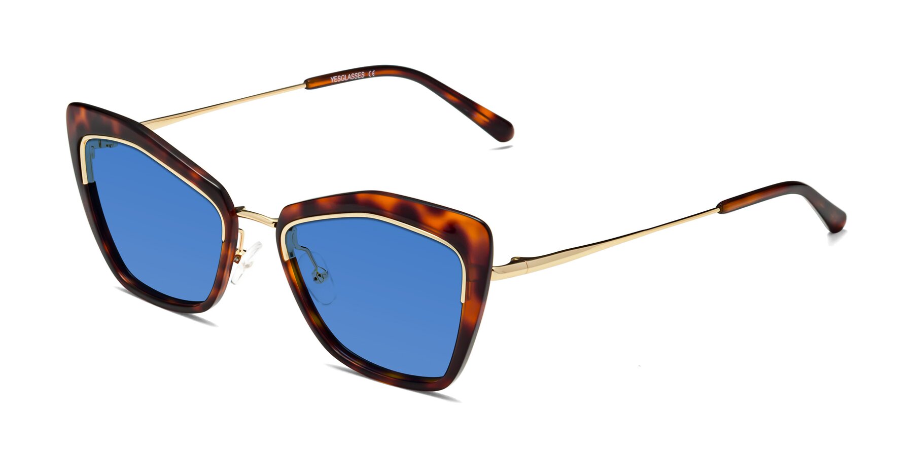 Angle of Lasso in Light Tortoise with Blue Tinted Lenses