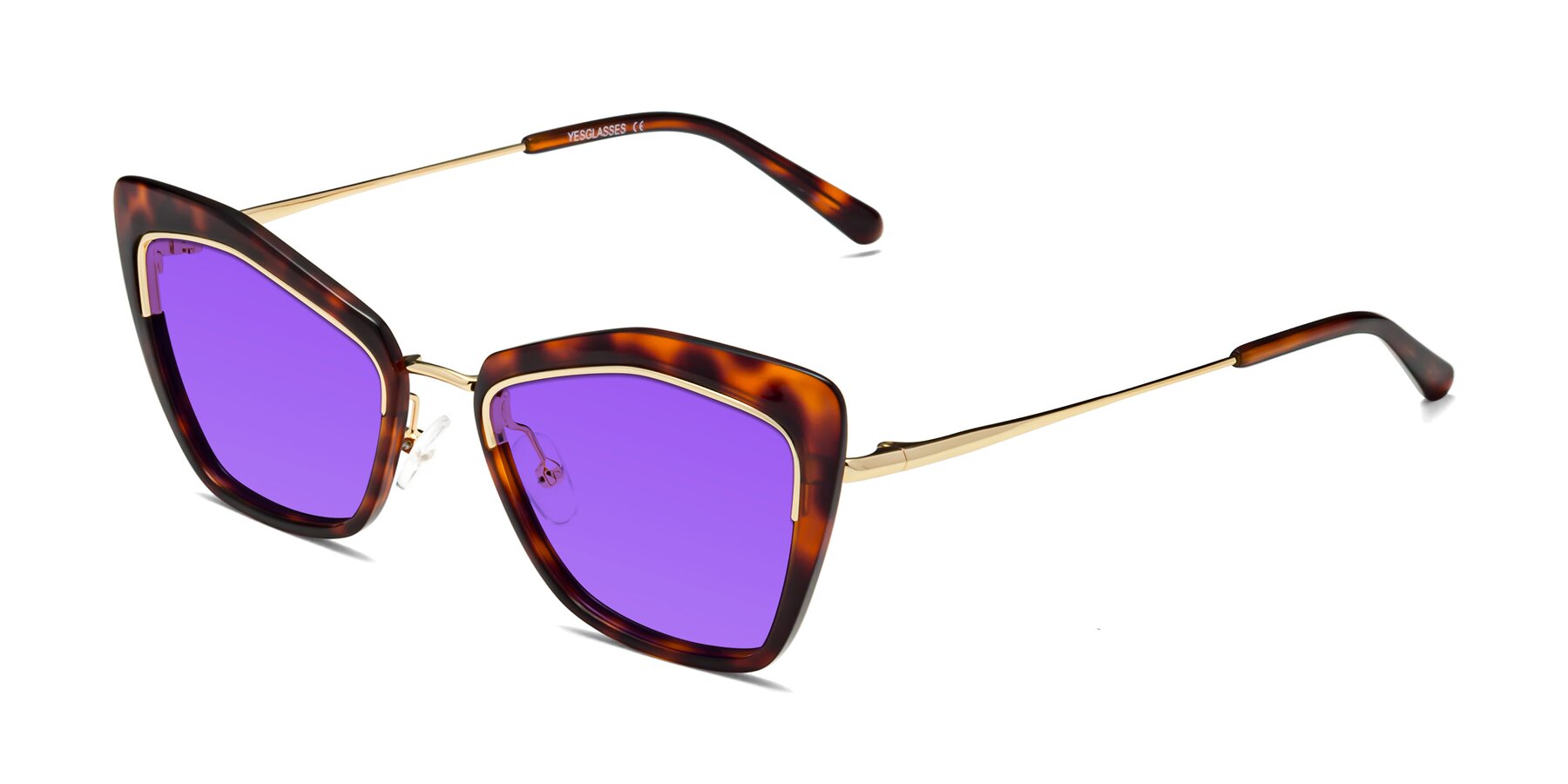 Angle of Lasso in Light Tortoise with Purple Tinted Lenses