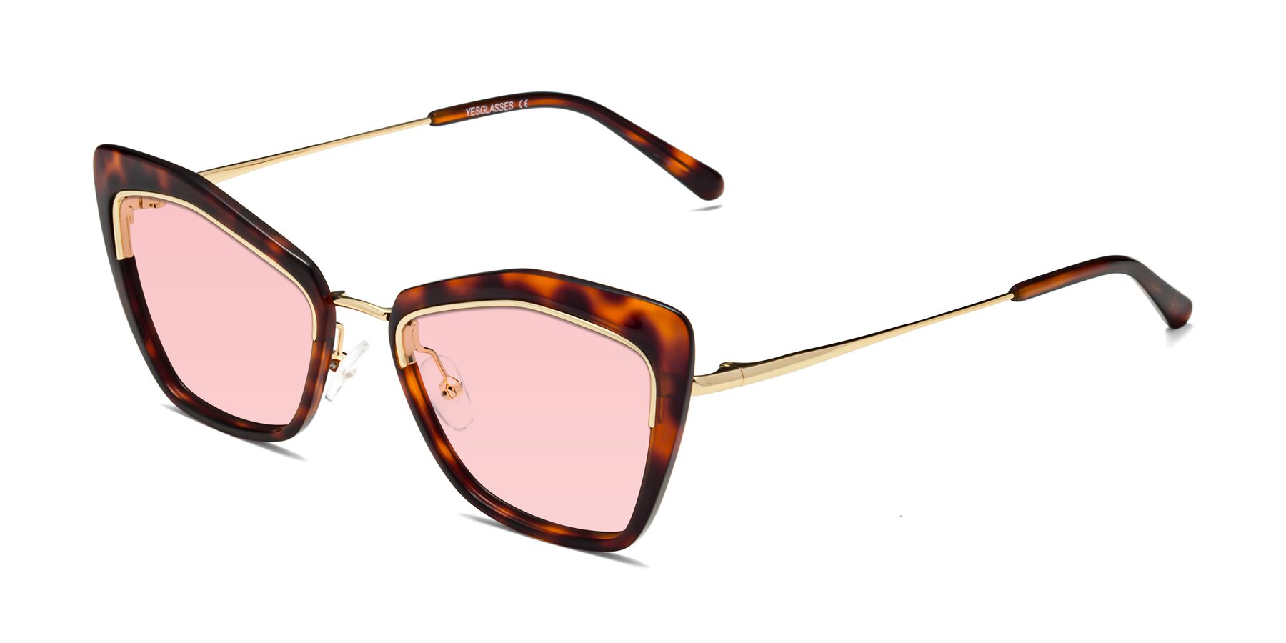 Angle of Lasso in Light Tortoise with Light Garnet Tinted Lenses