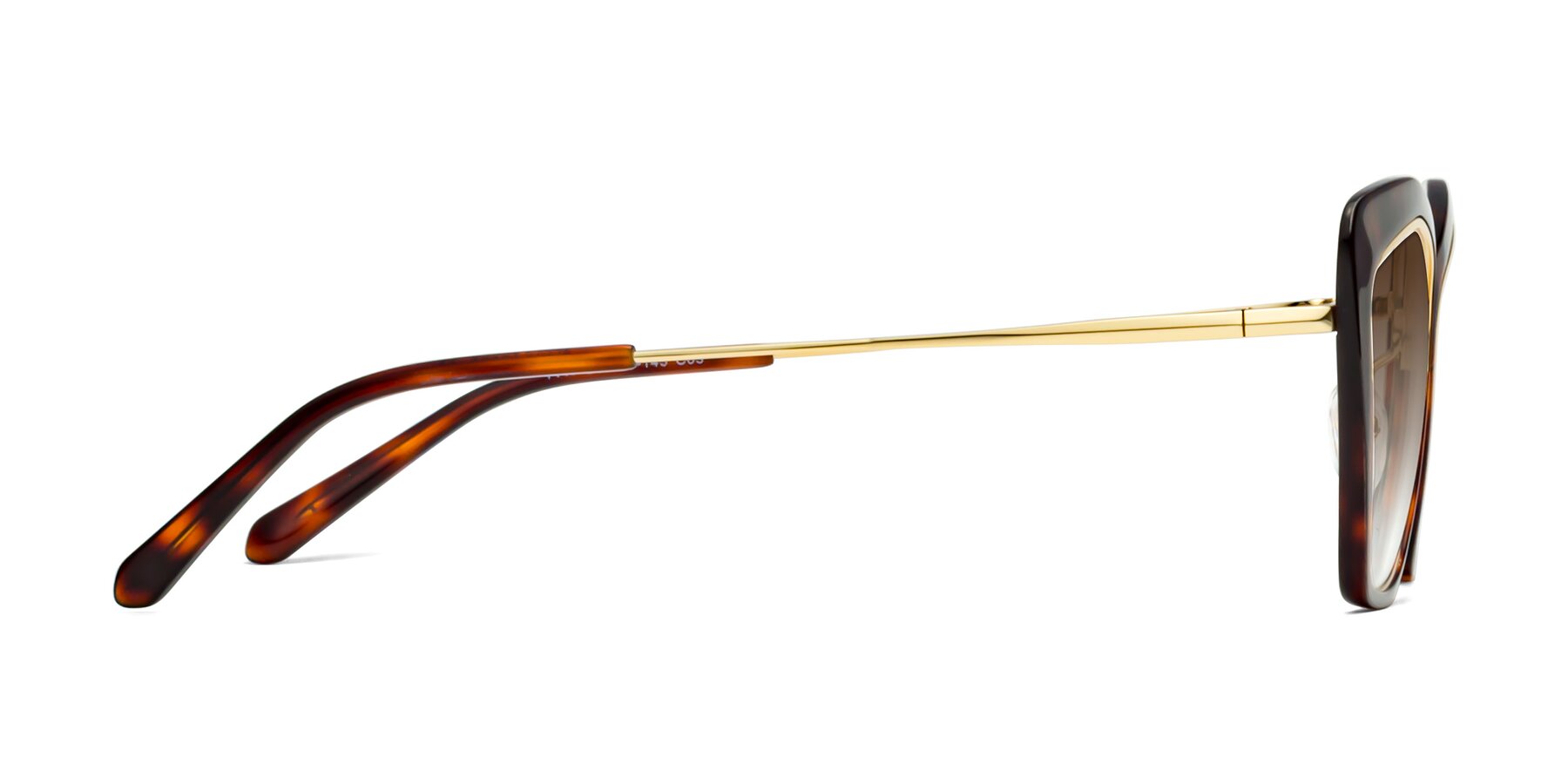 Side of Lasso in Light Tortoise with Brown Gradient Lenses