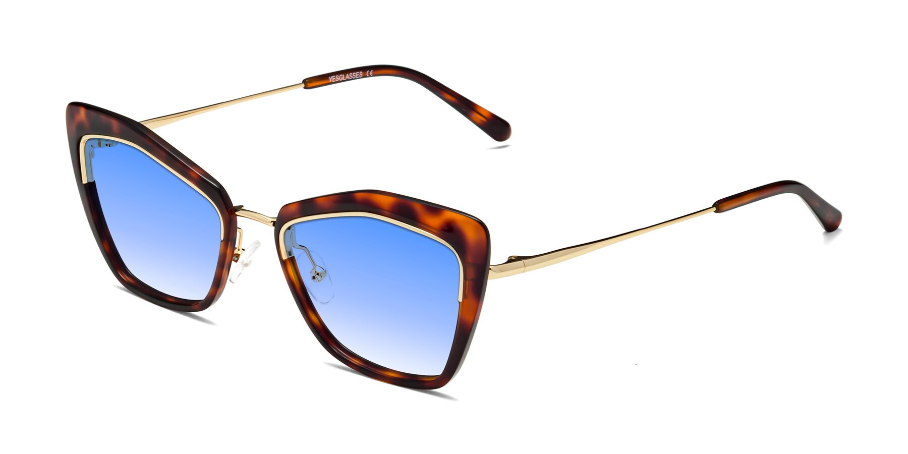 Angle of Lasso in Light Tortoise with Blue Gradient Lenses