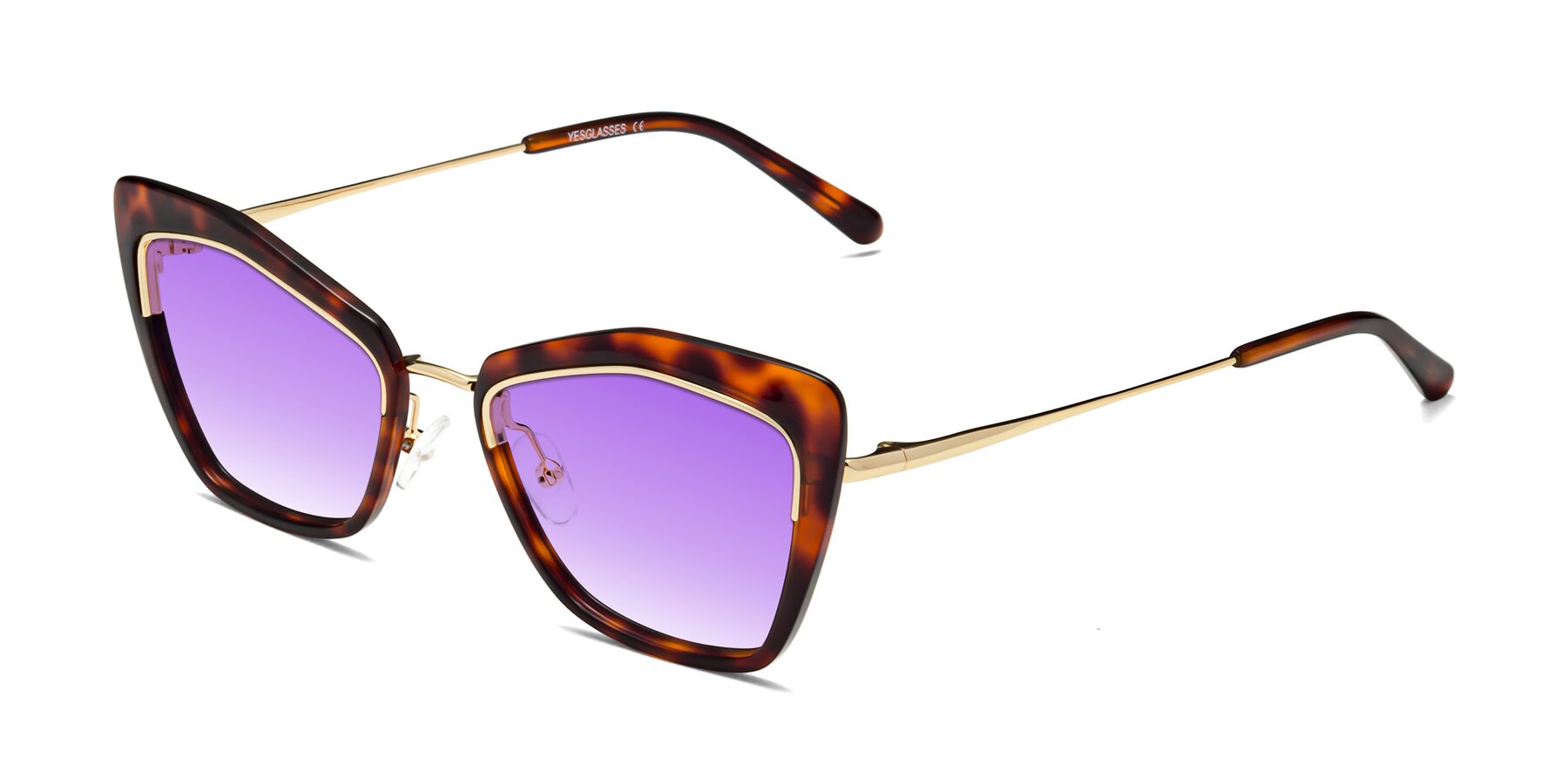 Angle of Lasso in Light Tortoise with Purple Gradient Lenses