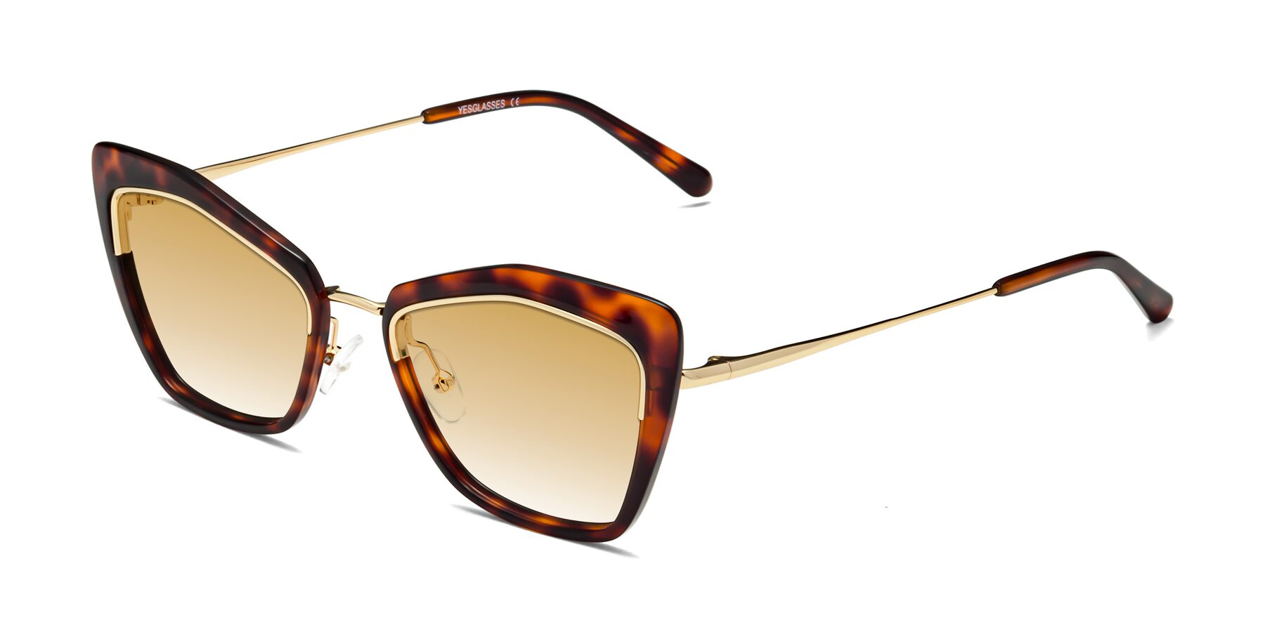Angle of Lasso in Light Tortoise with Champagne Gradient Lenses