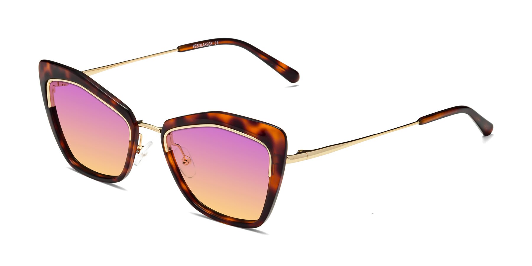 Angle of Lasso in Light Tortoise with Purple / Yellow Gradient Lenses