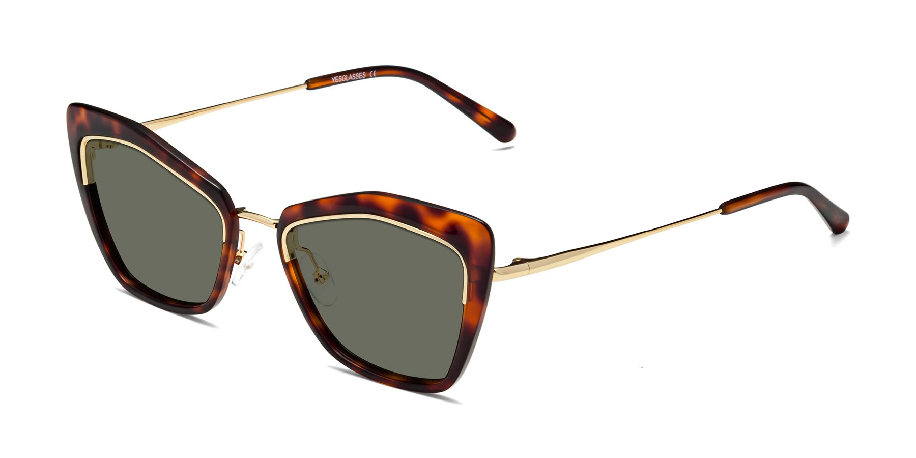 Angle of Lasso in Light Tortoise with Gray Polarized Lenses