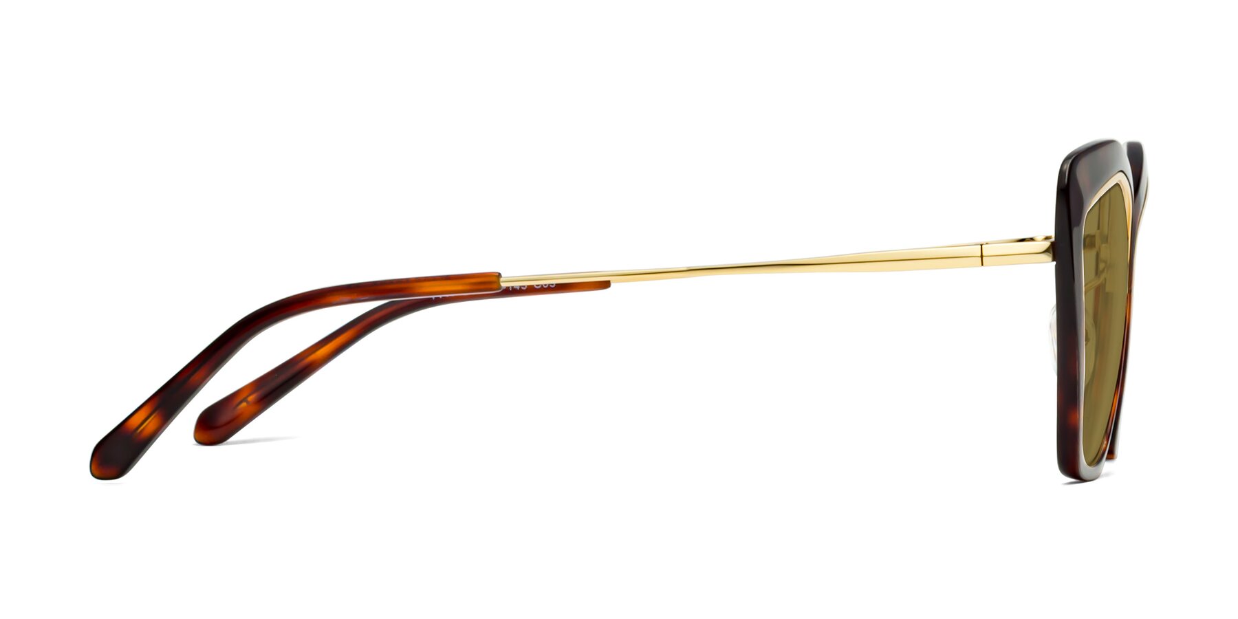 Side of Lasso in Light Tortoise with Brown Polarized Lenses
