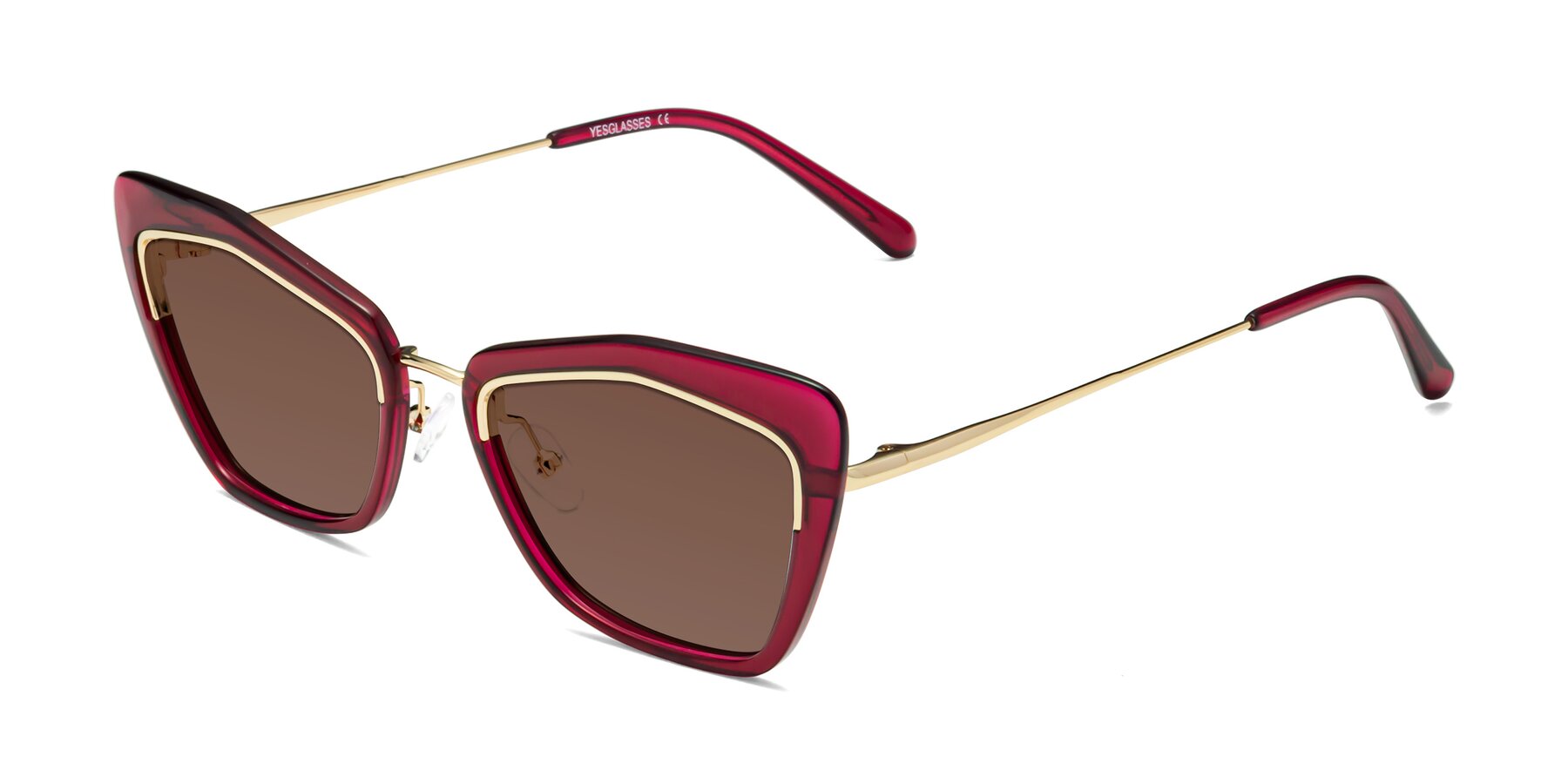 Angle of Lasso in Wine with Brown Tinted Lenses