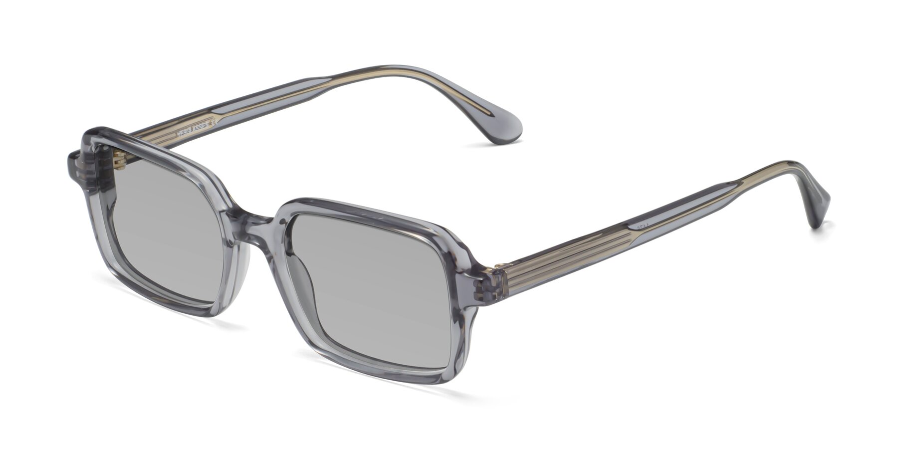 Angle of Canuto in Transparent Gray with Light Gray Tinted Lenses