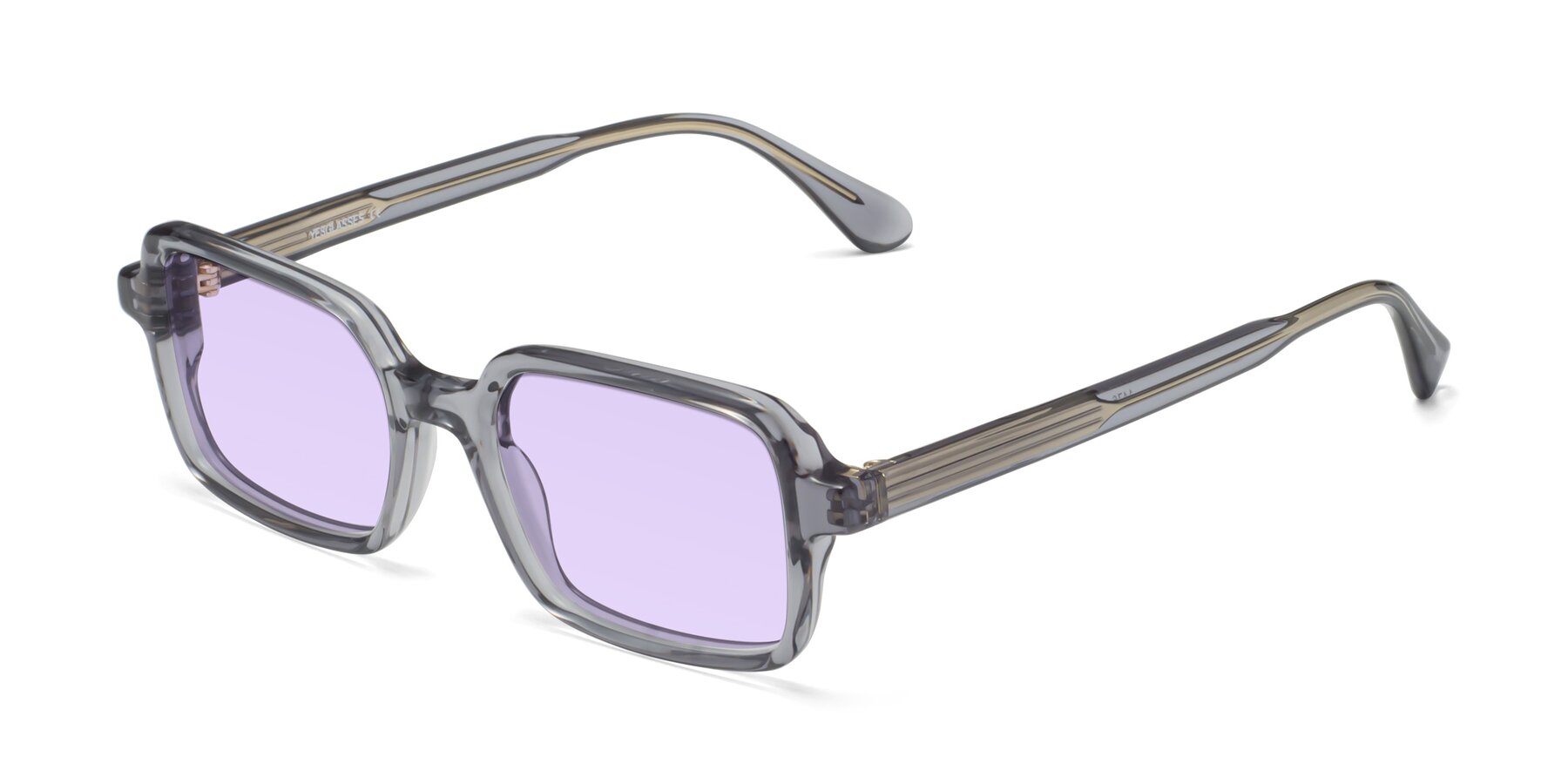 Angle of Canuto in Transparent Gray with Light Purple Tinted Lenses