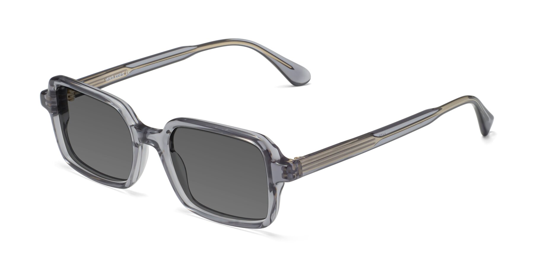 Angle of Canuto in Transparent Gray with Medium Gray Tinted Lenses