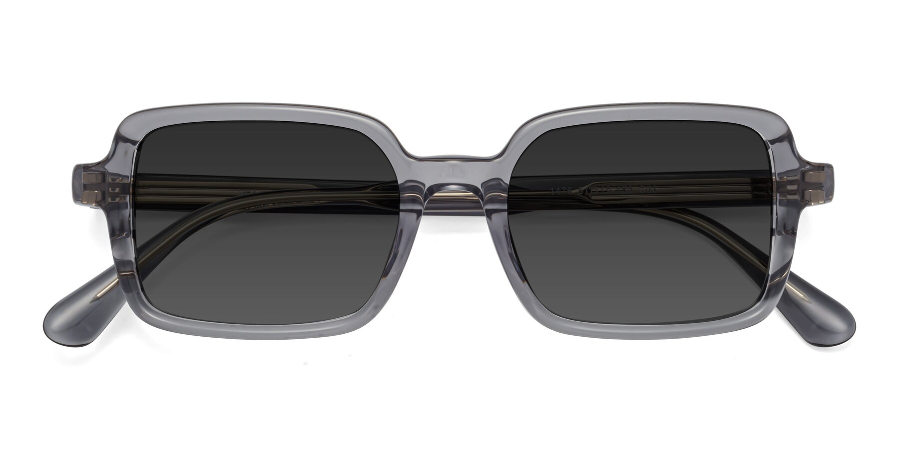 Folded Front of Canuto in Transparent Gray with Gray Tinted Lenses