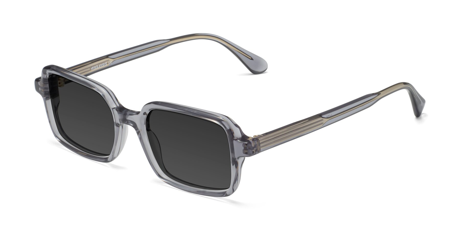 Angle of Canuto in Transparent Gray with Gray Tinted Lenses