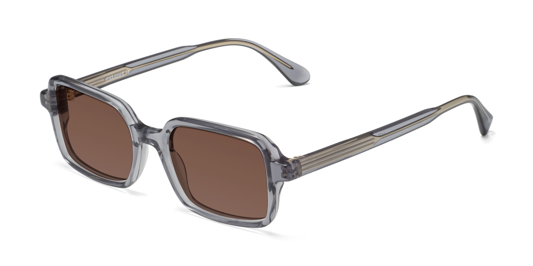 Angle of Canuto in Transparent Gray with Brown Tinted Lenses