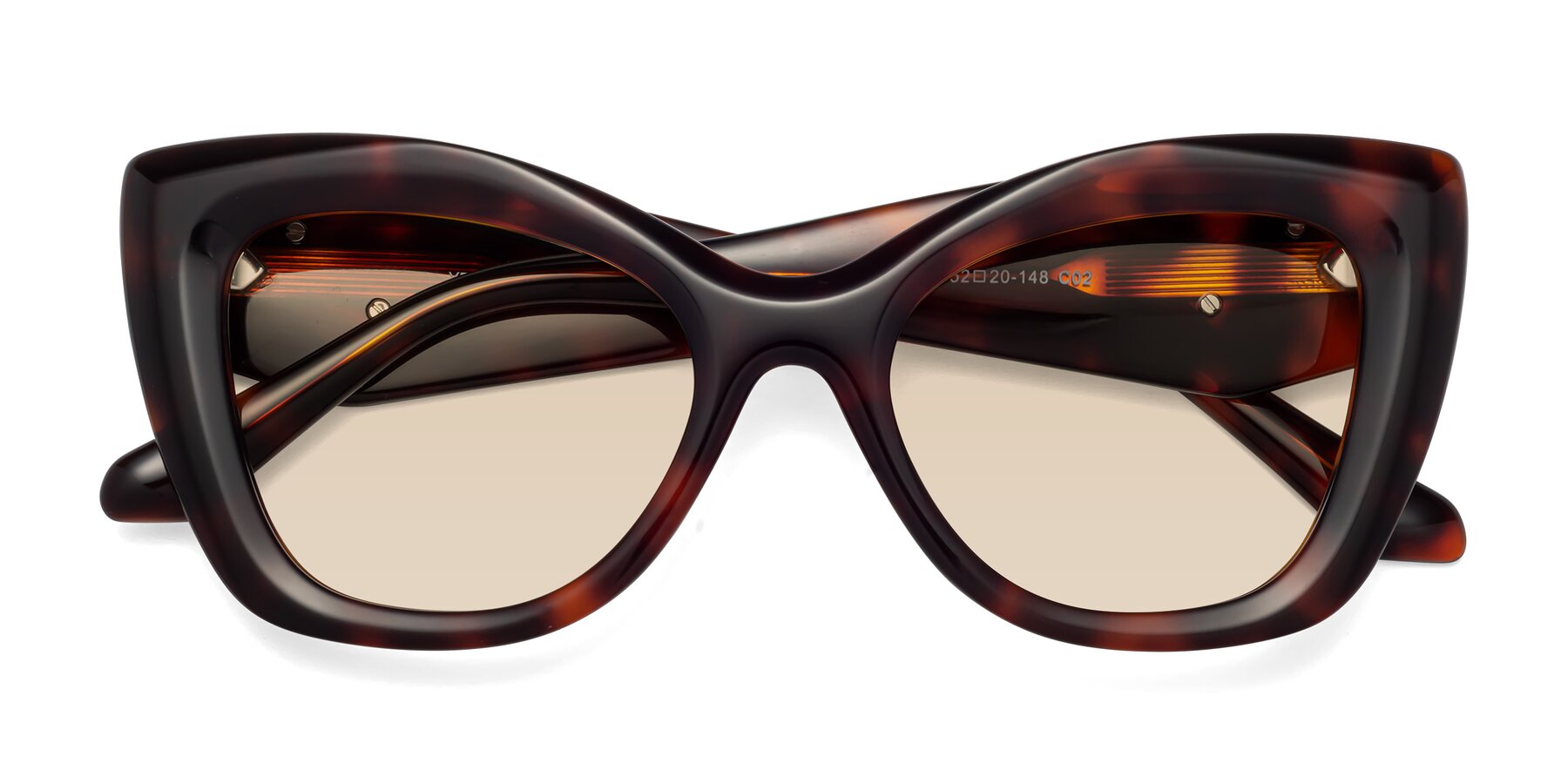 Folded Front of Riffe in Tortoise with Light Brown Tinted Lenses
