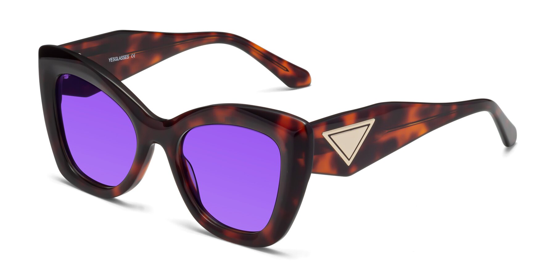 Angle of Riffe in Tortoise with Purple Tinted Lenses