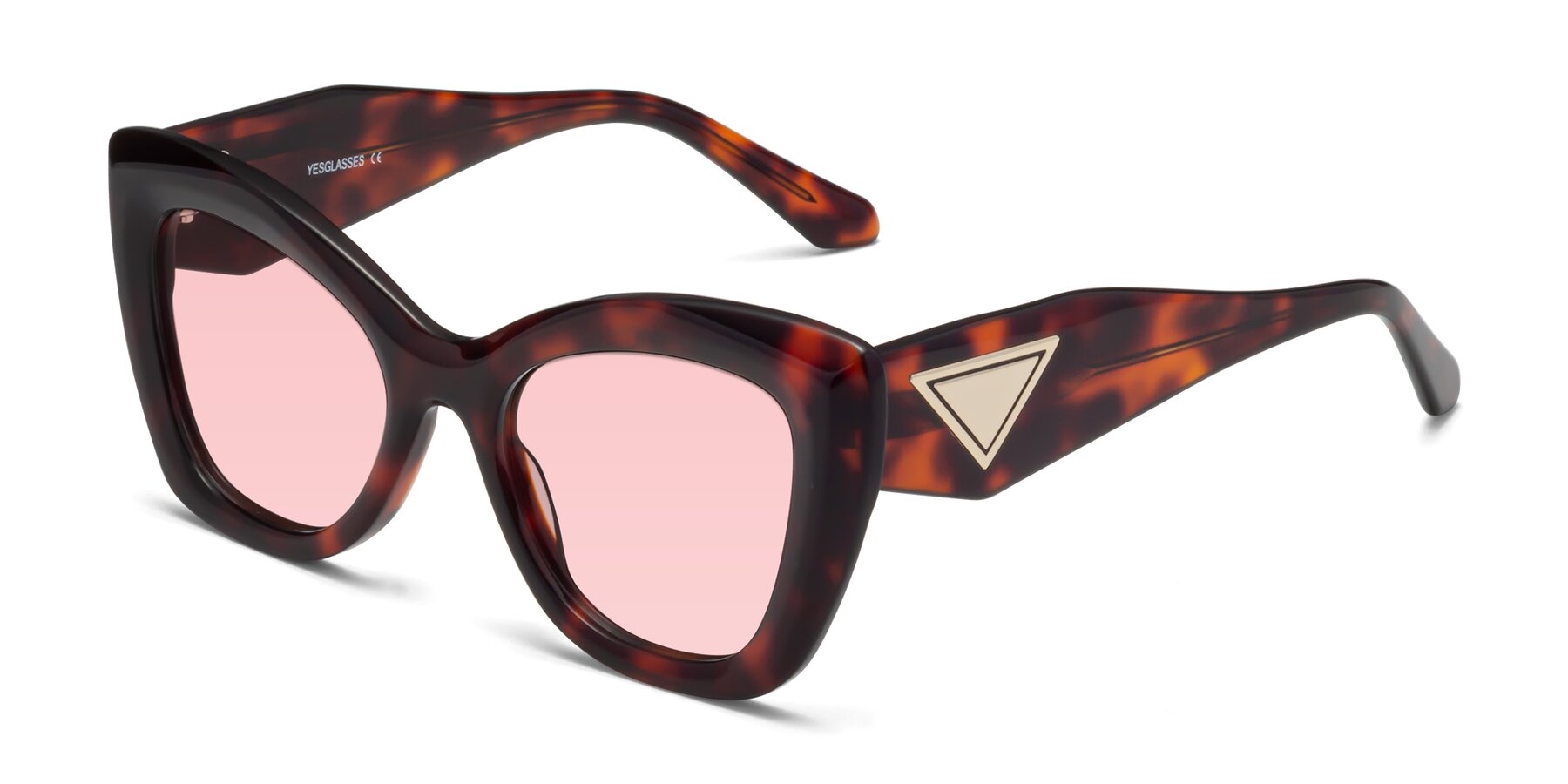 Angle of Riffe in Tortoise with Light Garnet Tinted Lenses