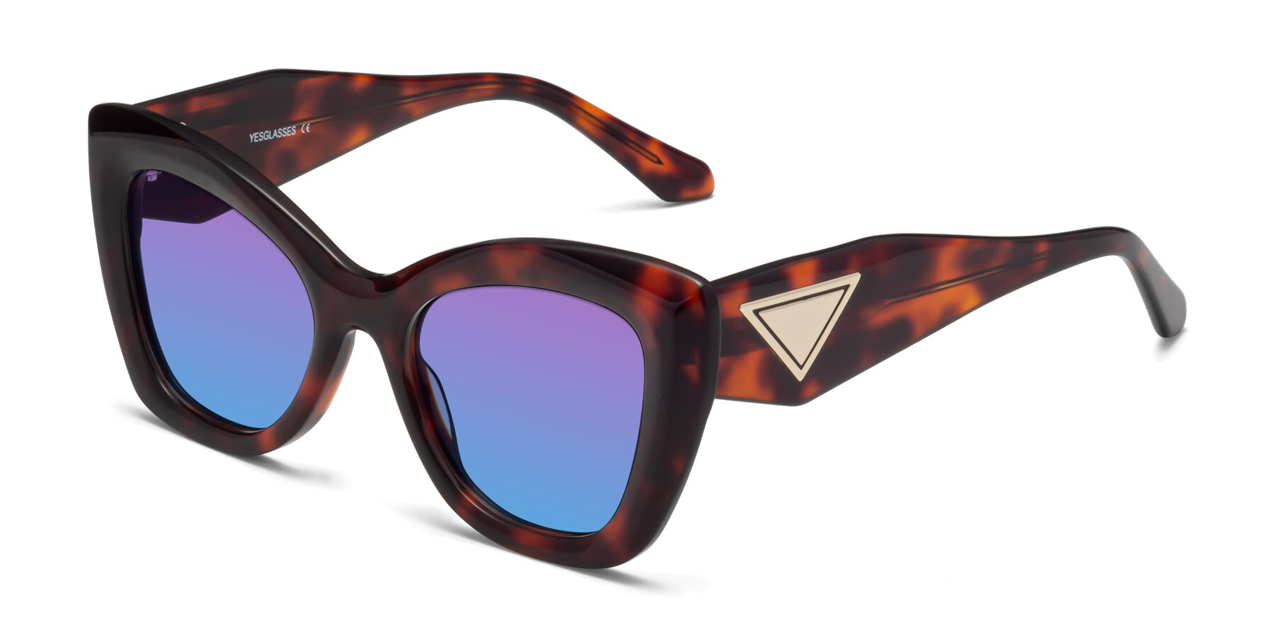 Angle of Riffe in Tortoise with Purple / Blue Gradient Lenses